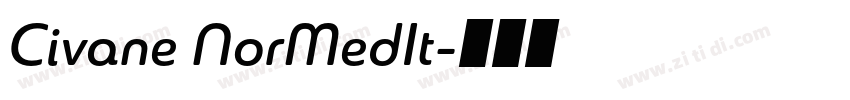 Civane NorMedIt字体转换